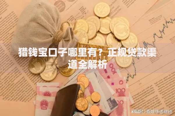猎钱宝口子哪里有？正规贷款渠道全解析