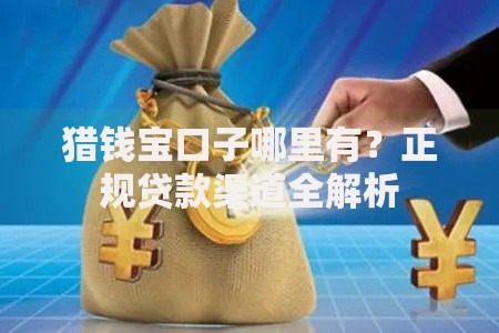 猎钱宝口子哪里有？正规贷款渠道全解析