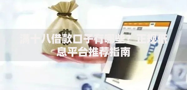 满十八借款口子有哪些？正规低息平台推荐指南