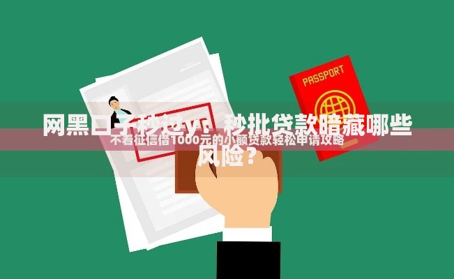 网黑口子秒过y：秒批贷款暗藏哪些风险？