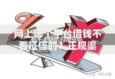 网上哪个平台借钱不看征信的？正规渠道与风险解析