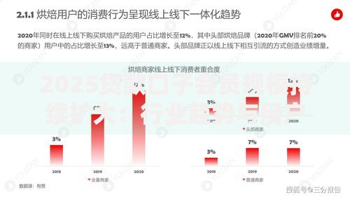 2025贷款口子会员规模持续扩大：行业趋势与用户选择指南