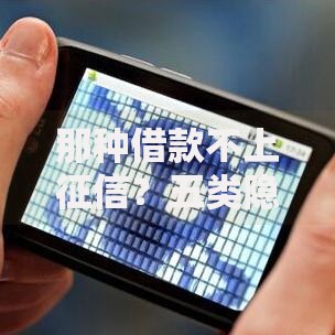 那种借款不上征信？五类隐藏渠道深度解析