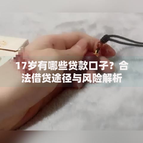 17岁有哪些贷款口子?合法借贷途径与风险解析 17岁有哪些贷款口子?合法借贷途径与风险解析