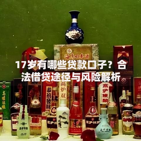 17岁有哪些贷款口子?合法借贷途径与风险解析 17岁有哪些贷款口子?合法借贷途径与风险解析