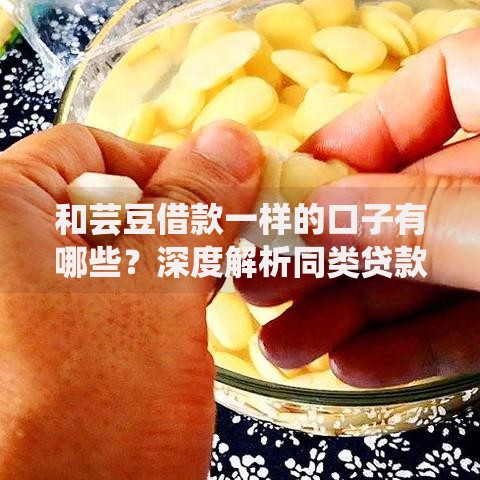 和芸豆借款一样的口子有哪些?深度解析同类贷款平台 和芸豆借款一样的口子有哪些?深度解析同类贷款平台