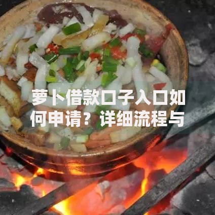 萝卜借款口子入口如何申请？详细流程与注意事项解析