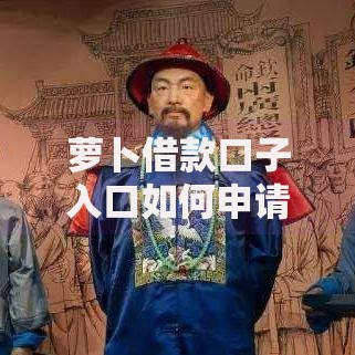 萝卜借款口子入口如何申请？详细流程与注意事项解析