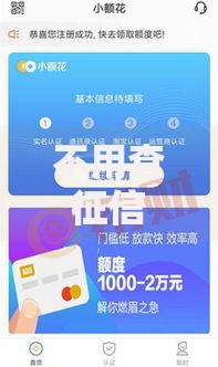 不用查征信的小额贷款平台5000:低门槛快速放款渠道解析 不用查征信的小额贷款平台5000:低门槛快速放款渠道解析