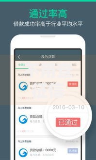 不用查征信的小额贷款平台5000:低门槛快速放款渠道解析 不用查征信的小额贷款平台5000:低门槛快速放款渠道解析