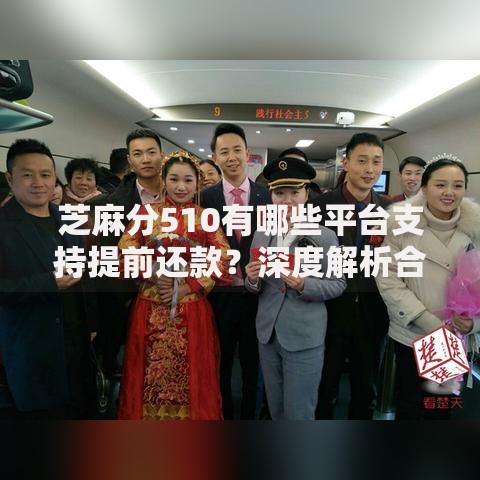 芝麻分510有哪些平台支持提前还款？深度解析合规贷款平台