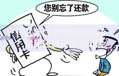 什么是口子借款用还吗？揭秘还款规则与风险