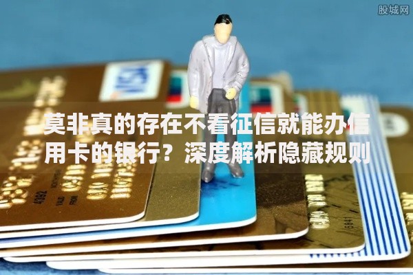 莫非真的存在不看征信就能办信用卡的银行？深度解析隐藏规则