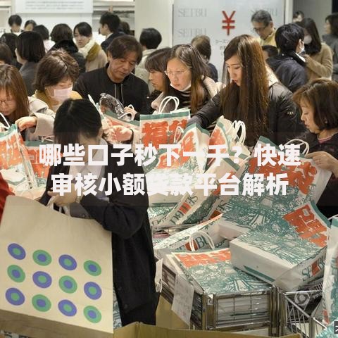 哪些口子秒下一千？快速审核小额贷款平台解析