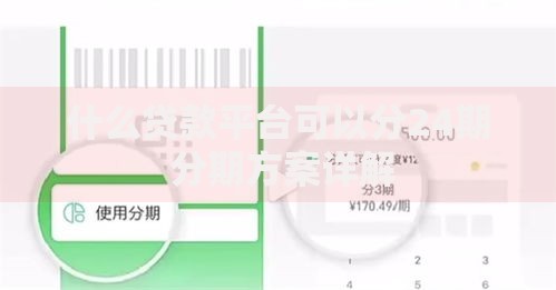什么贷款平台可以分24期 分期方案详解