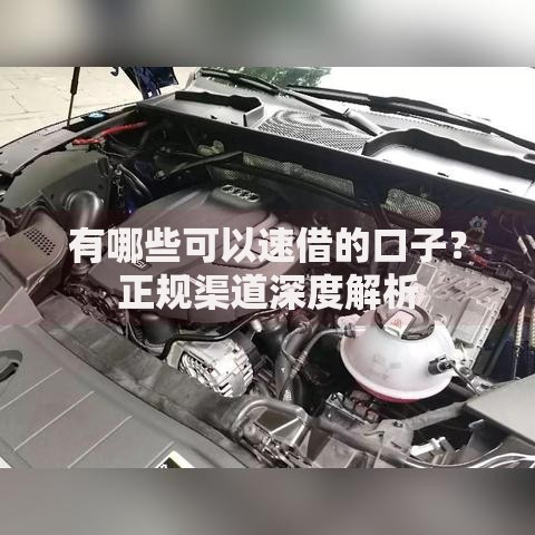 有哪些可以速借的口子？正规渠道深度解析