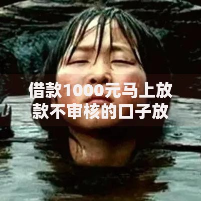 借款1000元马上放款不审核的口子放心大胆的用？真实情况解析
