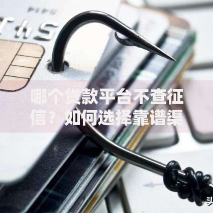 哪个贷款平台不查征信？如何选择靠谱渠道