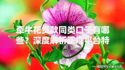 牵牛花贷款同类口子有哪些？深度解析正规平台特征