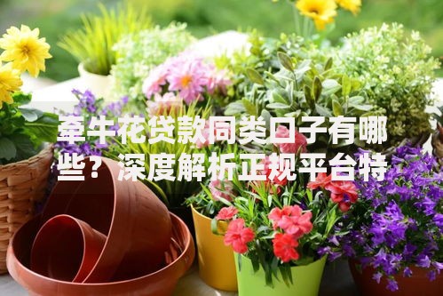 牵牛花贷款同类口子有哪些？深度解析正规平台特征