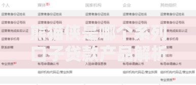 熊猫侠是哪个系列口子贷款产品解析与申请指南