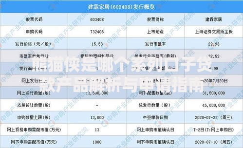 熊猫侠是哪个系列口子贷款产品解析与申请指南