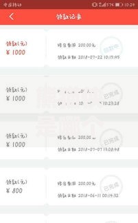 熊猫侠是哪个系列口子贷款产品解析与申请指南