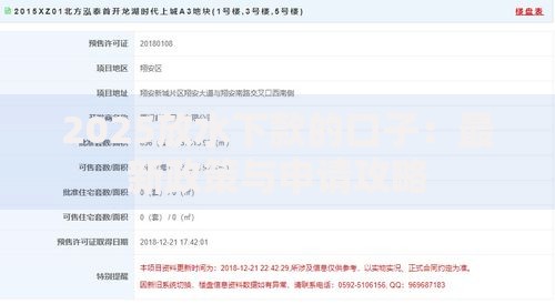 2025放水下款的口子：最新政策与申请攻略