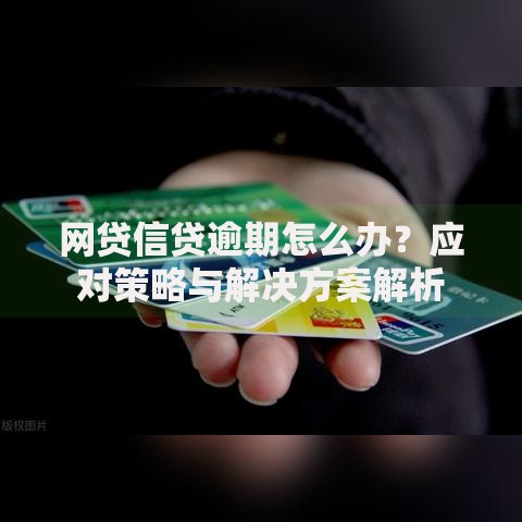 网贷信贷逾期怎么办？应对策略与解决方案解析