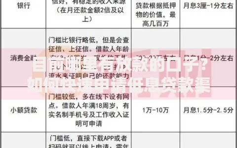 目前哪里有放款的口子？如何快速申请低息贷款渠道