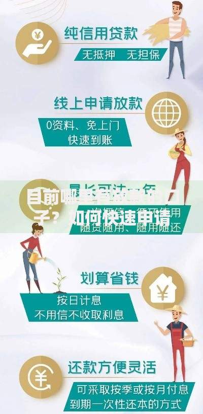 目前哪里有放款的口子？如何快速申请低息贷款渠道