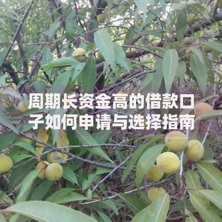 周期长资金高的借款口子如何申请与选择指南