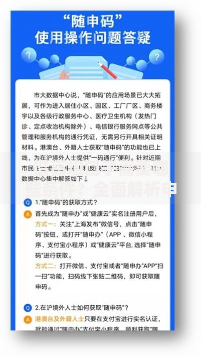 借高炮口子需要哪些条件？全面解析申请资格与流程