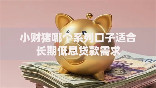小财猪哪个系列口子适合长期低息贷款需求