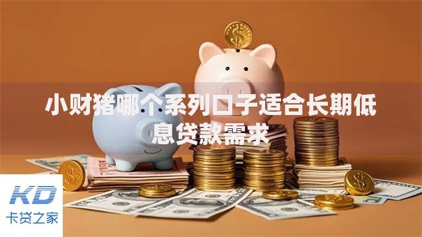 小财猪哪个系列口子适合长期低息贷款需求