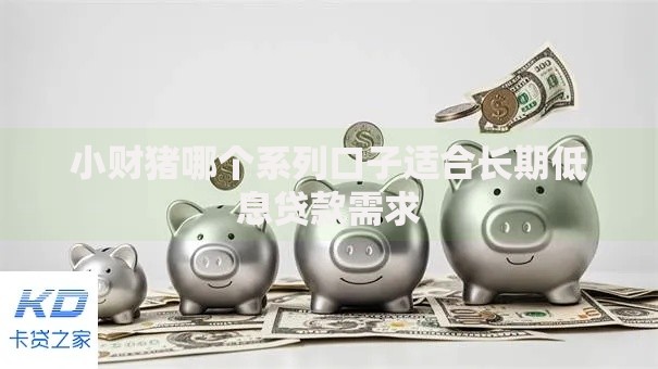 小财猪哪个系列口子适合长期低息贷款需求