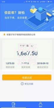 网灰还有口子能贷款吗？低息网贷申请攻略