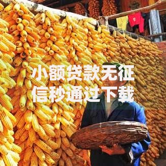 小额贷款无征信秒通过下载安全便捷申请攻略
