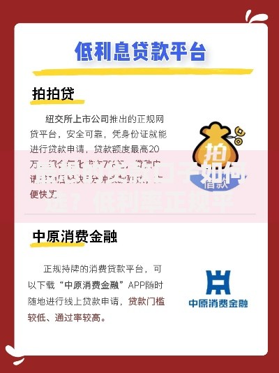 最想的贷款口子如何选？低利率正规平台推荐指南