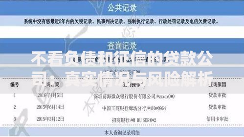 不看负债和征信的贷款公司：真实情况与风险解析