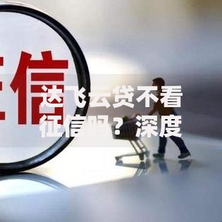 达飞云贷不看征信吗？深度解析审核流程与贷款条件