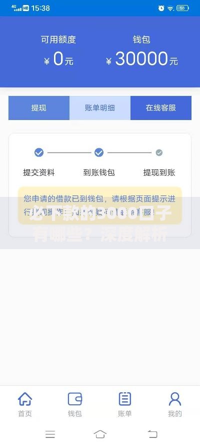 必下款的3000口子有哪些？深度解析申请条件与流程