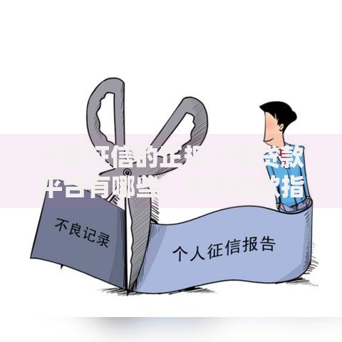 不看征信的正规小额贷款平台有哪些？安全借款指南