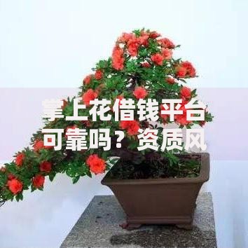 掌上花借钱平台可靠吗？资质风险深度解析