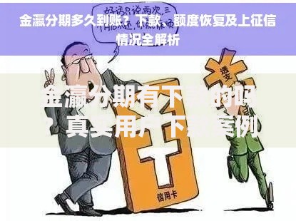 金瀛分期有下款的吗？真实用户下款案例深度解析
