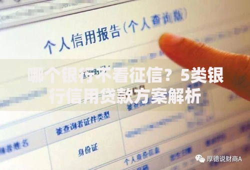 哪个银行不看征信?5类银行信用贷款方案解析 哪个银行不看征信?5类银行信用贷款方案解析