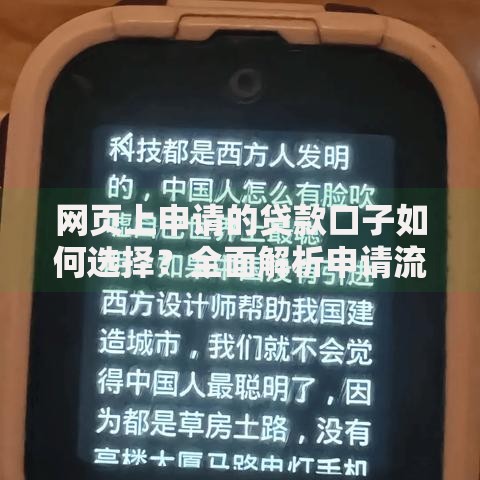网页上申请的贷款口子如何选择？全面解析申请流程与风险防范