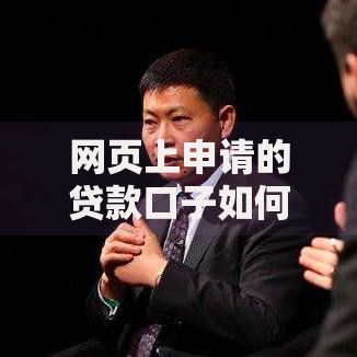 网页上申请的贷款口子如何选择？全面解析申请流程与风险防范