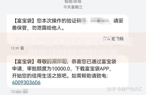 有黑户能下款的口子吗？如何申请特殊借款渠道