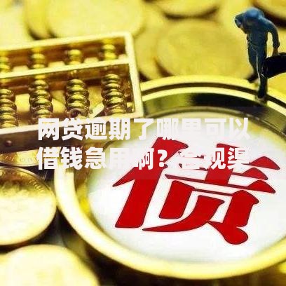 网贷逾期了哪里可以借钱急用啊?合规渠道深度解析 网贷逾期了哪里可以借钱急用啊?合规渠道深度解析
